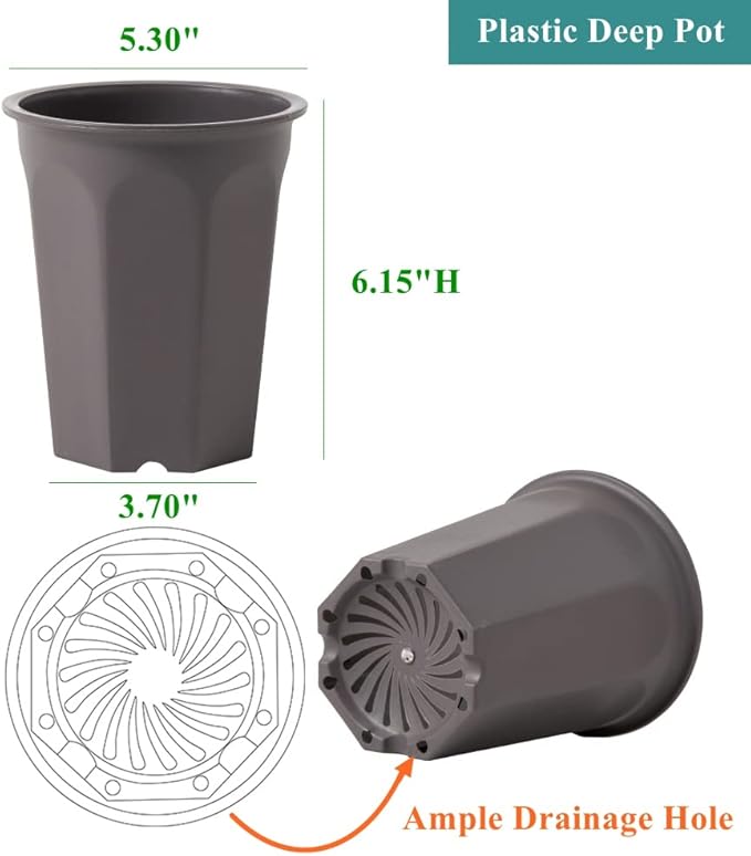 BangQiao 10 Pack 5.30 Inch Plastic Deep Nursery and Seedling Pots, Round Transplant Seed Starter Planter, Gray Color