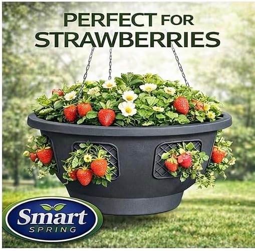 Ultimate Hanging Baskets - Strawberry, Tomato, Flower, and Herb Outdoor Planters - Use Garden Pots for Growing Plants Outside On A Deck, Fence, or Balcony (2)