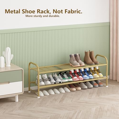 LINZINAR 2 Tier Long Shoe Rack for Closet Metal Shoe Organizer for Entryway