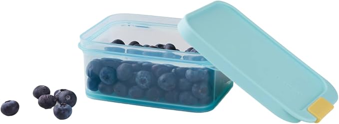 LocknLock Freezer Fit Plastic Freezer Containers | Stackable Food Storage for Meal Prep | Microwave & Dishwasher Safe | BPA Free Freezer Container with Lid, 450ml