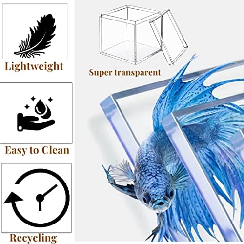 KissYou Acrylic Box Clear Box with Lid Acrylic Square Cube,24 Pack Small Plastic Storage Box Birthday Wedding Graduation Party Decoration