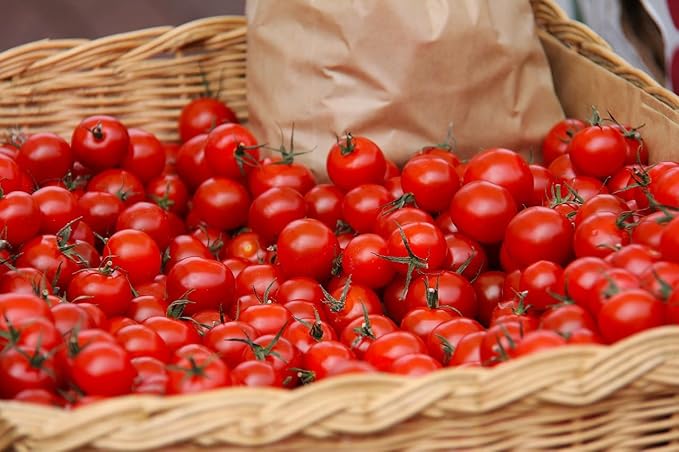 Classic Garden Pack - 15 Varieties of Non-GMO Heirloom Premium Seeds for Planting - Tomatoes, Peppers, Lettuce, Radish, Cucumber, Carrot, Watermelon, and More