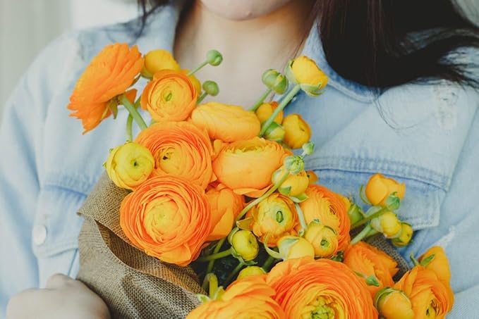6 Mixed Color Ranunculus Bulbs for Planting, Assorted Pastel Double Buttercups, Spring or Fall Planting Bulbs for Vibrant Garden Blooms, Borders & Cut Flower Garden, Rose Bulb Wedding Flower Bulbs