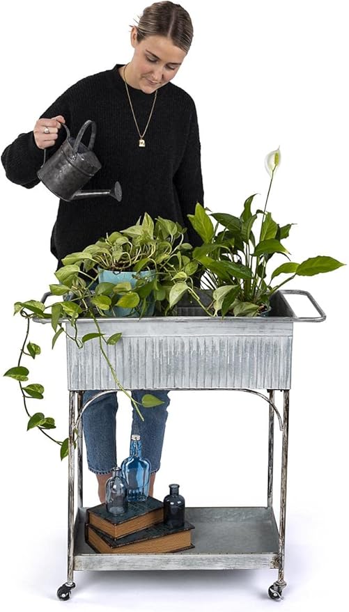 Displays2go Rustic Garden Planter Cart, Galvanized Steel, Top & Bottom Trays, Wheels - Silver (SMRGGMDC)
