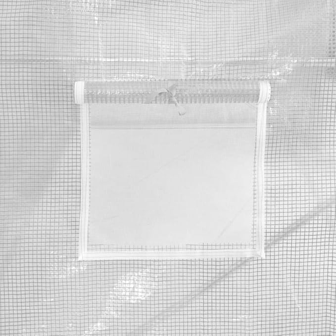 vidaXL Greenhouse, Cold Frame for Garden Patio Backyard Lawn Yard, Green House for Plant Growing Gardening, Outdoor Greenhouse Grow House