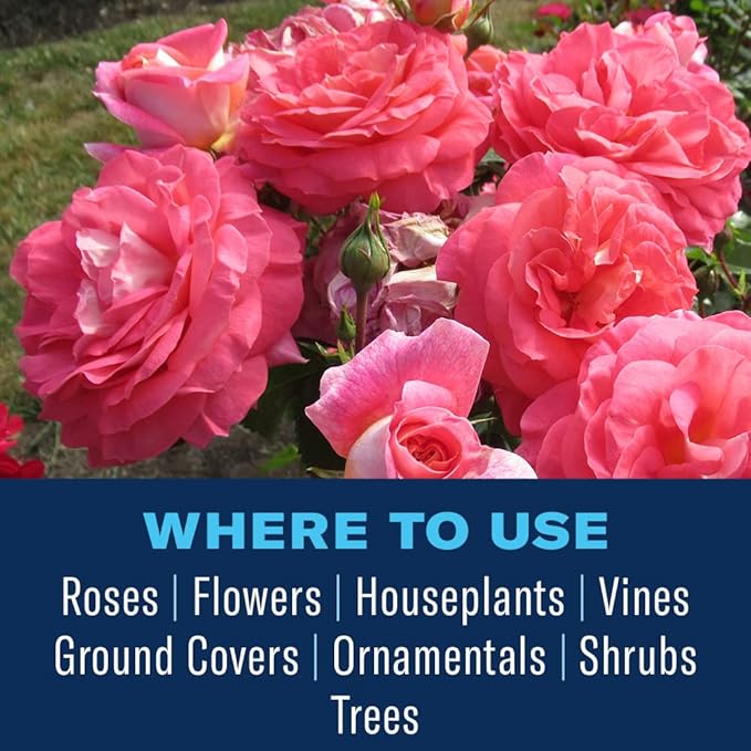 BioAdvanced All-In-One Rose and Flower Plant Bug Spray, 32 oz, Pest Control Spray with Hose Adaptor