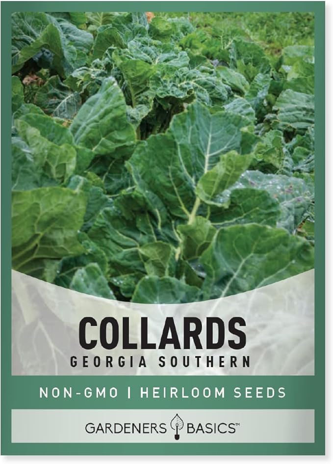Gardeners Basics, Collard Greens Seeds for Planting - Georgia Southern Non-GMO Vegetable Variety- 1 Gram Seeds Great for Summer, Fall and Winter Gardens