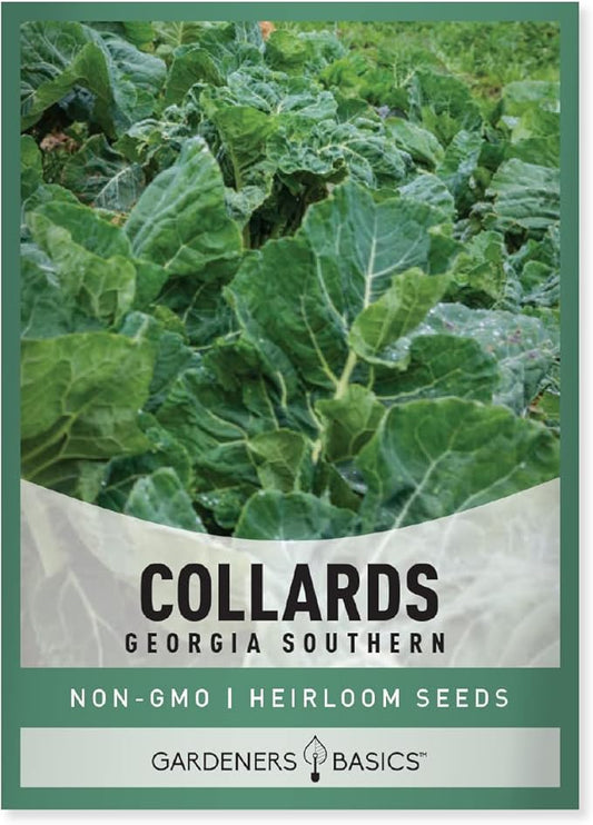 Gardeners Basics, Collard Greens Seeds for Planting - Georgia Southern Non-GMO Vegetable Variety- 1 Gram Seeds Great for Summer, Fall and Winter Gardens