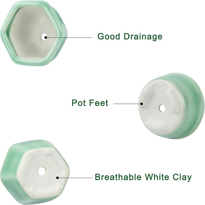 Bonsai Planter 1.8 inch (4.5cm) Mini Succulent Glazed Pots Set of 12 Green