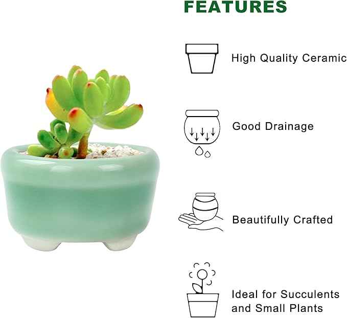 Bonsai Planter 1.8 inch (4.5cm) Mini Succulent Glazed Pots Set of 6 Green