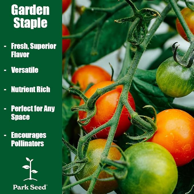 Park Seed Variety of Tomato Seeds, Planting Vegetables, Easy to Grow, Non-GMO, Perfect for Harvesting, Big Beef Hybrid, Pack of 30