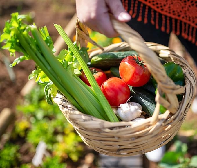 Vegetable & Herb Seed Set - 10 Varieties of Non-GMO Heirloom Premium Seeds for Planting - Beefsteak Tomato, Lavender, Banana Pepper, and More!