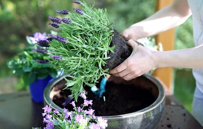 Gardenera Moisture Control Potting Mix - Perfect for Indoor and Outdoor Container Gardening! - 5 Quart