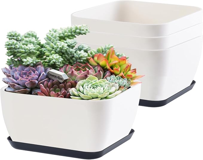Oliz Succulent Pots 6 Inch Shallow Herb Planters with Drainage Hole - 4 Packs Cactus Planter for Home Office Garden Plants Pot Present - Plants Not Included (Off White)