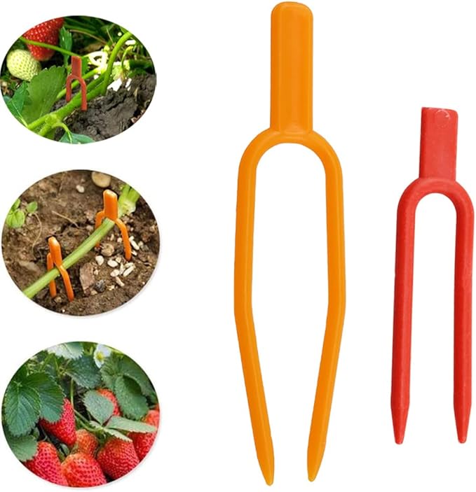 Haidong-Gardening Plant Fixing Clips Reusable Garden Strawberry Fork Used for Fixing Vines Such as Flowers, Strawberries and Watermelons (120 Each for red and Orange) -240PCS