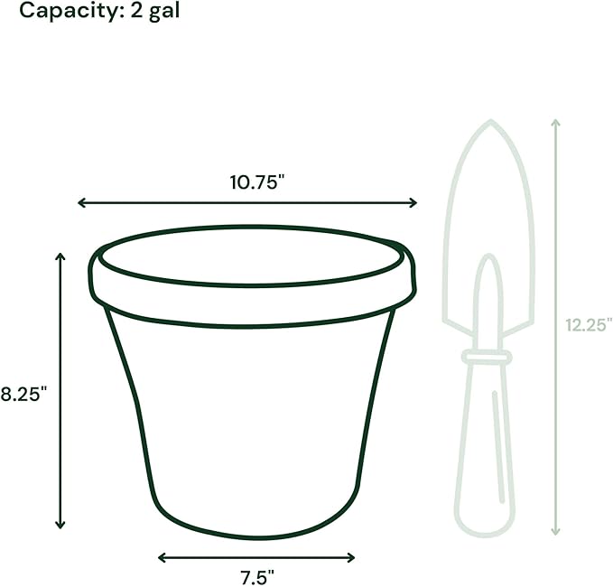 Bloem Terra 10" Diameter Round Basil Resin Planter Pot with Drainage Holes for Indoor and Outdoor Gardening