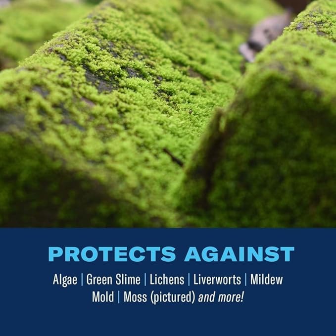 BioAdvanced 2-in-1 Moss and Algae Killer and Cleaner, Ready-to-Spray, 32 oz, 500 SQ FT | Ready-to-Spray - Use on Lawns, Ornamental Gardens, and Patios - Deck Cleaner - Up to 1 Year Protection