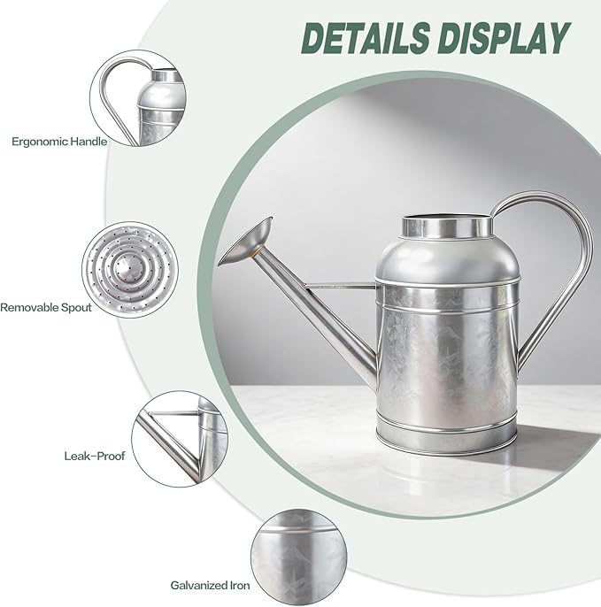 9L Metal Watering Can for Outdoor Garden, Galvanized Steel Large Watering Pot with Top Handle and Long Spout, Rust-Resistant Water Can for Flowers, Lawns, and Farm Use