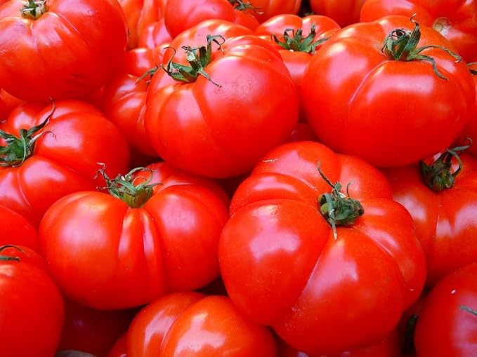 Vegetable & Herb Seed Set - 10 Varieties of Non-GMO Heirloom Premium Seeds for Planting - Beefsteak Tomato, Cauliflower, Mixed Greens, and More!