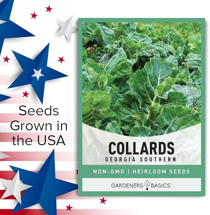 Gardeners Basics, Collard Greens Seeds for Planting - Georgia Southern Non-GMO Vegetable Variety- 1 Gram Seeds Great for Summer, Fall and Winter Gardens