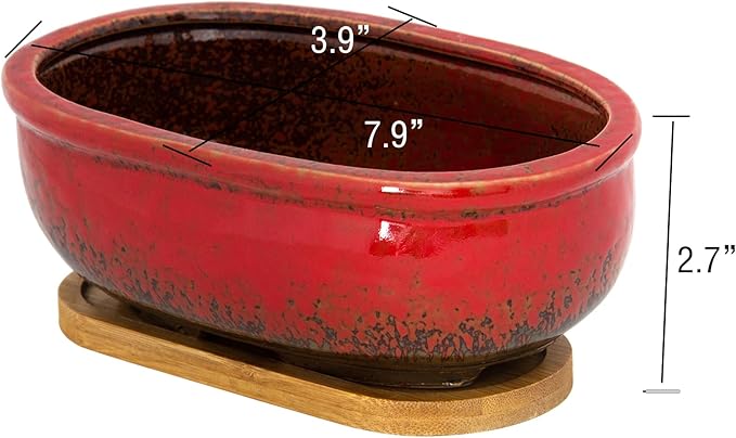 ARTKETTY Succulent Pots - Large Succulent Planters with Drainage Tray, 7.9'' Ceramic Pots for Indoor Cactus Plants, Oval Bonsai Flower Plant Container Bowl Decorative Home Desk Windowsill