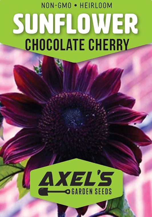 Seed Packets for Planting Chocolate Cherry Sunflowers in Home Outdoor Garden - Heirloom Non-GMO Flower Seed Packets