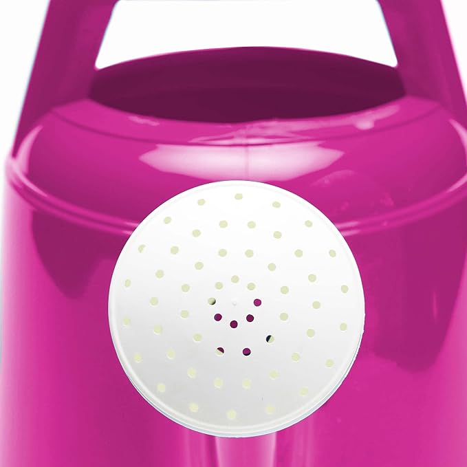 Bloem Deluxe 2 Gallon (256 Fl Oz) Fuchsia Resin Watering Can for Indoor and Outdoor Use