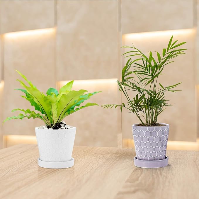 EFISPSS Flower Planter –5 inch Ceramic Plant Pots with Drainage Holes and Ceramic Tray - Gardening Home Desktop Office Windowsill Decoration Gift Set of 4 - Purple