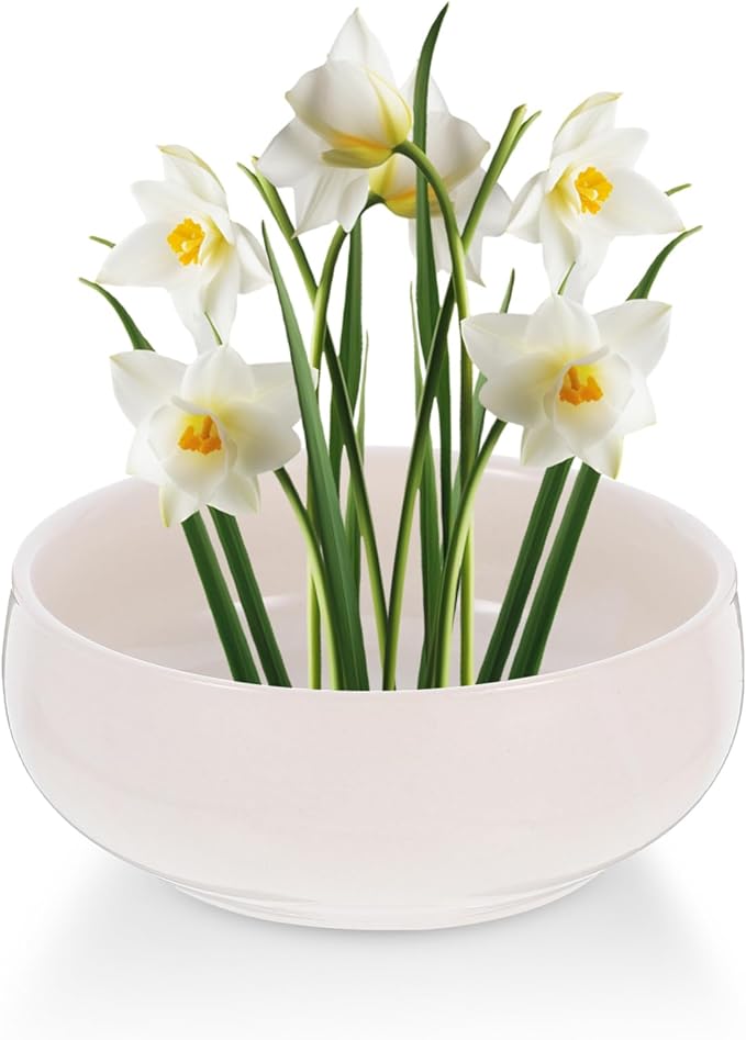 Toddmomy Hydroponic Planter Pot 6.49X5.70X2.55 Inch Ceramic Lotus Bowl for Indoor Succulents Coin Grass Water Lily Decorative Garden Container