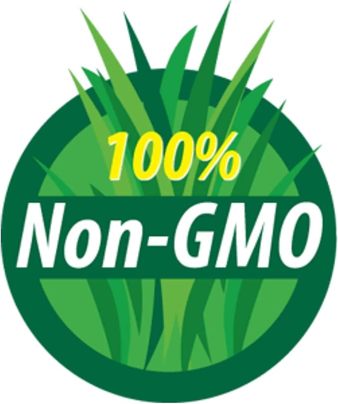Lemon Grass Seeds - 1 Oz - Non-GMO, Heirloom Culinary Herb Garden Seeds - Cymbopogon flexuosus