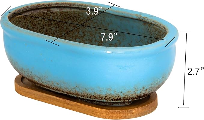 ARTKETTY Succulent Pots, 7.9 Inch Large Succulent Planters with Drainage Tray, Shallow Planters for Indoor Plants Ceramic Cactus Pots Glazed Bonsai Flower Plant Container for Home Windowsill Decor