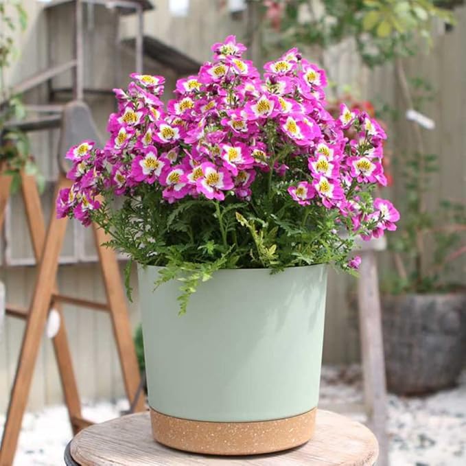 ZMTECH Spring Planters for Indoor Plants, Plant Pots & Flower Pots, Plastic Planter 3 Pack 8 Inch Self Watering with Drainage Hole and Saucer, Modern Decorative Indoor Outdoor, Green