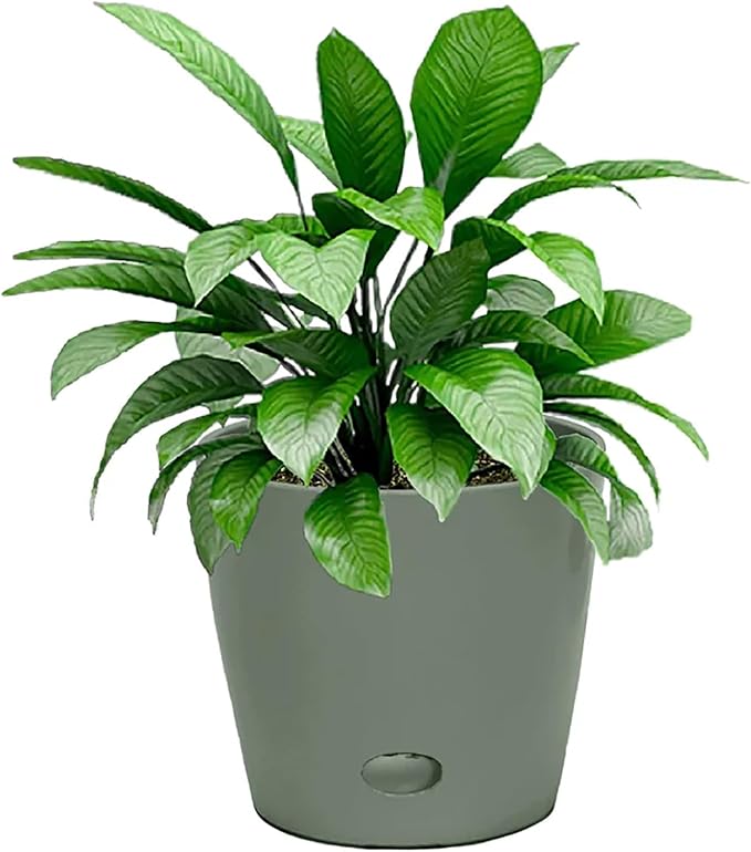 7 Inch Self-Watering Bamboo Planter (Sage Green) - Round - Bamboo Fiber - No Overwatering or Root Rot