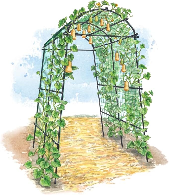 Gardener’s Supply Company Extra Tall Garden Arch Arbor | 80 Inch Tall Titan Squash Tunnel | Lightweight Metal, Trellis Plant Stand for Climbing Vines | Outdoor Lawn Tower & Support Structure