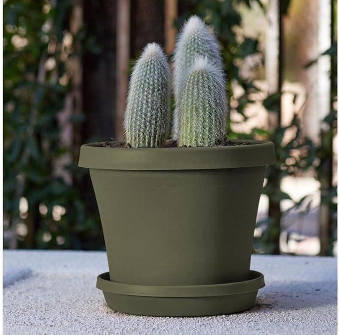 Bloem Terra Pot Planter 8" Living Green
