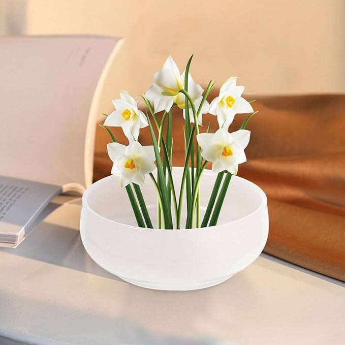 Toddmomy 2pcs Ceramic Hydroponic Lotus Bowl Planter for Water Lilies Narcissus and Decorative Water Plant Pot for Indoor Gardening Porcelain Design