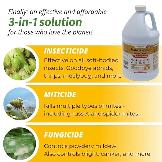 Environmental Plant Management Protection Plus Concentrate | Oil-Free Contact Insecticide for Plants | Kills Aphids, Whiteflies, Spider Mites & Other Soft-Bodied Pests | Natural | Indoor & Outdoor Use