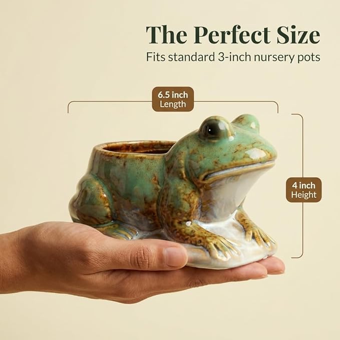 Hill's Park's 6.5" x 4" Frog Planter - Holds 3" Pot - Unique Animal Plant Pot for Indoor Outdoor Home Garden Decor