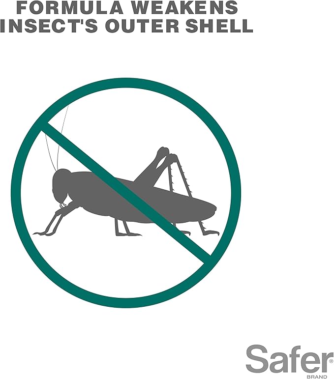 Safer 5118-6 Insect Killing Soap Concentrate - Insecticidal Soap for Plants - Kills Aphids, Whiteflies, Thrips, Spider Mites, and More - OMRI Listed for Organic Use - 6 Pack