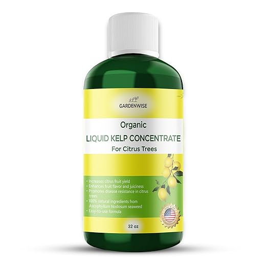 GARDENWISE Organic Premium Kelp Seaweed Fertilizer: All-in-One Citrus Tree Fertilizer for Meyer Lemon, Lime, and Other Fruiting Trees - Liquid Plant Food for Potted & Outdoor Citrus Trees (32 OZ)