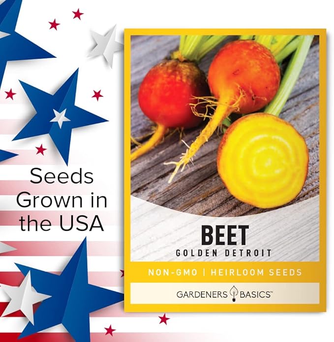 Gardeners Basics, Beet Seeds for Planting Golden Detroit Heirloom Non-GMO Golden Beets Plant Seeds for Home Garden Vegetables Makes a Great Gift for Gardeners