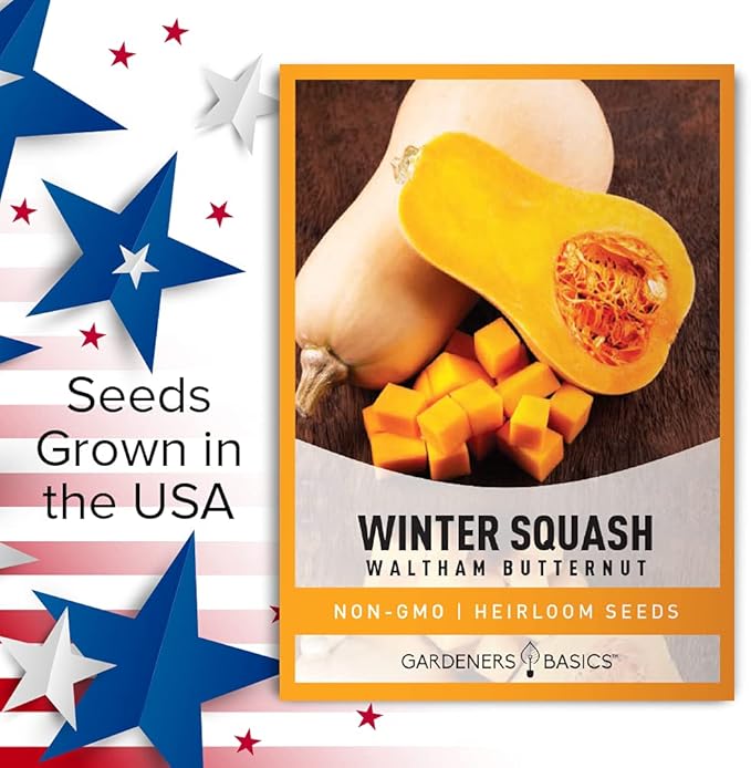 Gardeners Basics, Butternut Squash Seeds for Planting - Waltham Heirloom Non-GMO Winter Storage Vegetable Plant for Home Garden Vegetables Makes a Great Gift for Gardening