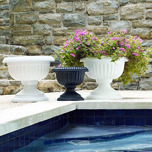 Root & Vessel Grecian Urn Planter, Black, 12-Inch