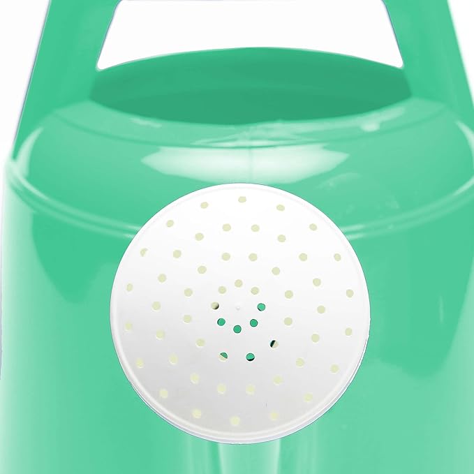 Bloem Deluxe 2 Gallon (256 Fl Oz) Mint Green Resin Watering Can for Indoor and Outdoor Use
