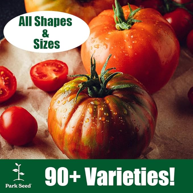 Park Seed Variety of Tomato Seeds, Planting Vegetables, Easy to Grow, Non-GMO, Perfect for Harvesting, Costoluto Genovese, Pack of 30