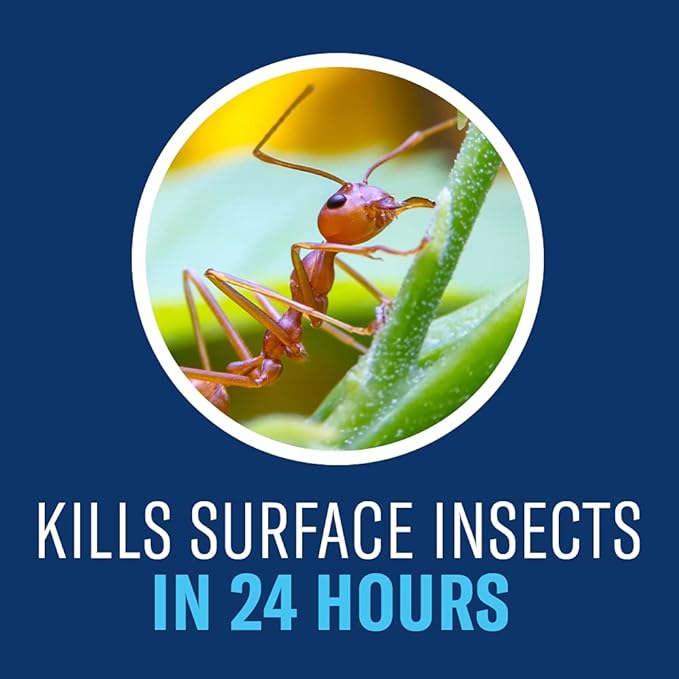 BioAdvanced Complete Brand Insect Killer for Soil and Turf, Granules, 10 lb, Pest Control, Outdoor Ant Killer