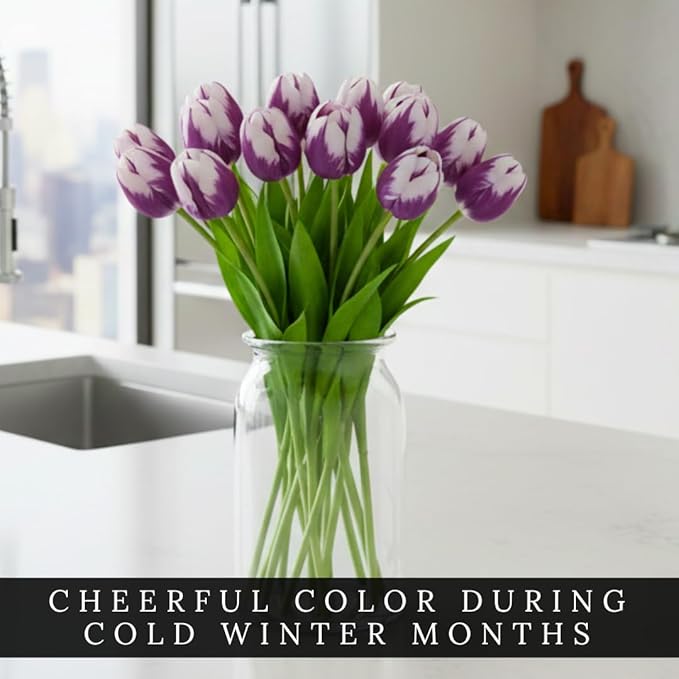 Pre-Chilled Purple Flaming Flag Tulip Bulbs – Set of 4 - Force Indoors in Winter or Plant Outdoors | Cheerful Winter Flowers - Early Spring Blooms, Vibrant Purple Flowers, Holiday Gift for Gardeners