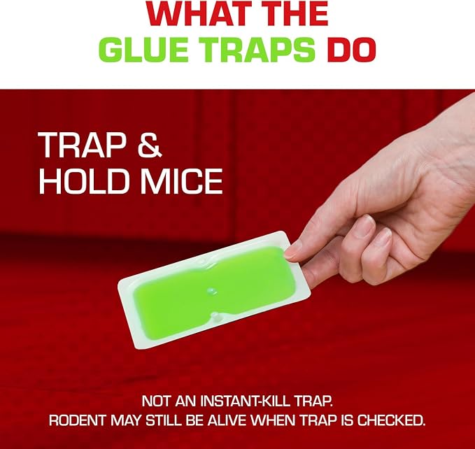 Tomcat Super Hold Glue Traps Mouse Size for Mice,Cockroaches,Spiders,and Scorpions,Ready-to-Use,4 Traps,(Pack of 12)