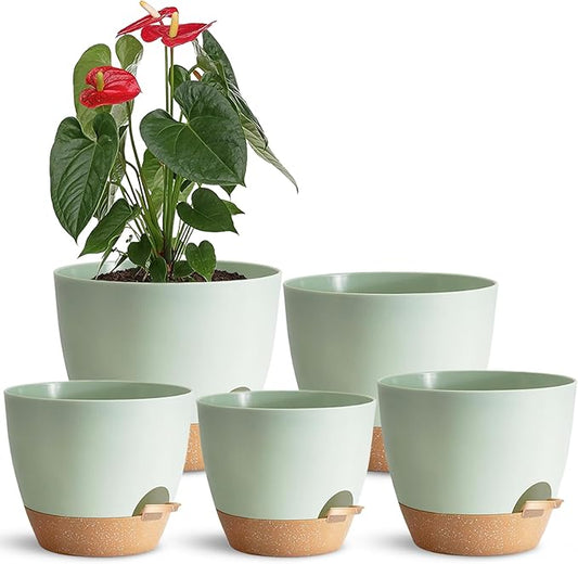 Self Watering Planter Pots Set of 5 - Green Plastic Indoor Pots with Drainage Holes, Saucers and Reservoir for Home Decor, Office Desk, Windowsill, Shelf (Gift Idea)