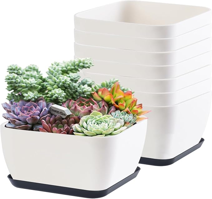 Succulent Pots 6 Inch Shallow Herb Planters with Drainage Hole - 8 Packs Cactus Planter for Home Office Garden Plants Pot Present - Plants Not Included (Off White)